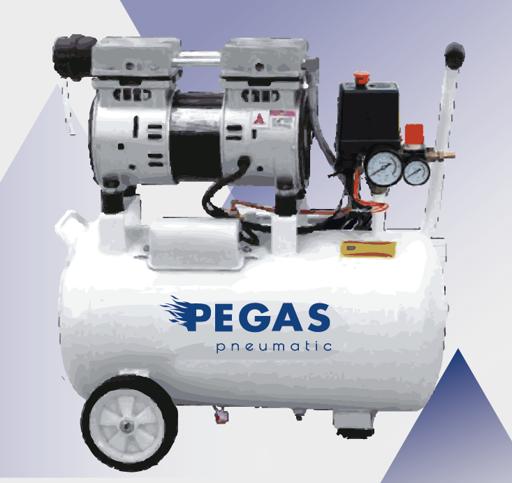Воздушный компрессор Pegas