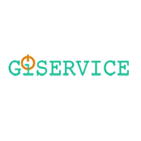 Gi-service